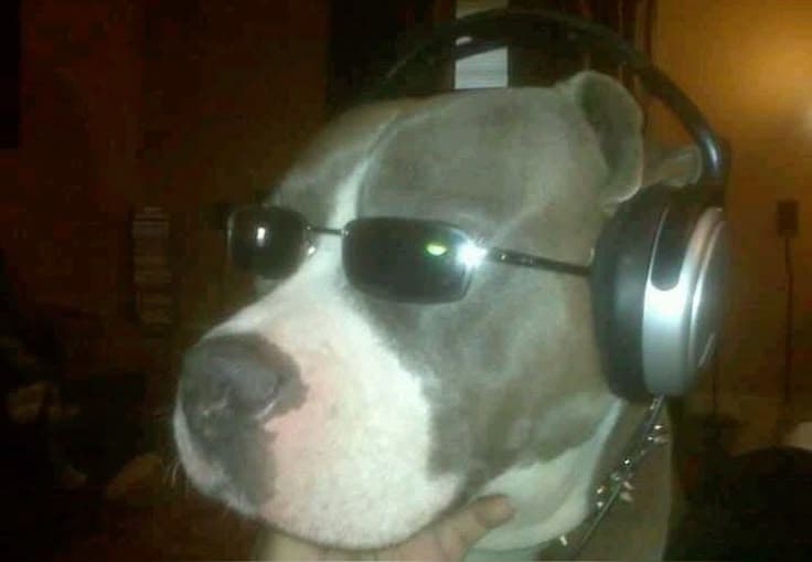 Үндэсний эдийн засгийн удирдлага